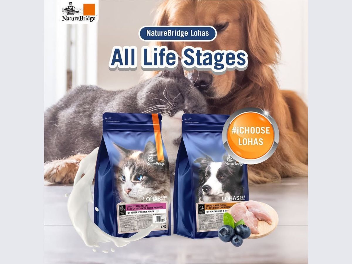 Tips | Diet Tips for Dogs and Cats
