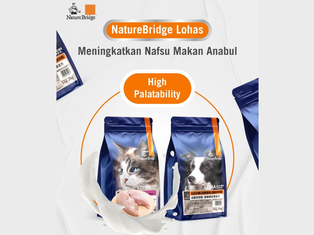 Pet Tips | Berapa Banyak Anda Harus Memberi Makan Anjing atau Kucing Anda?
