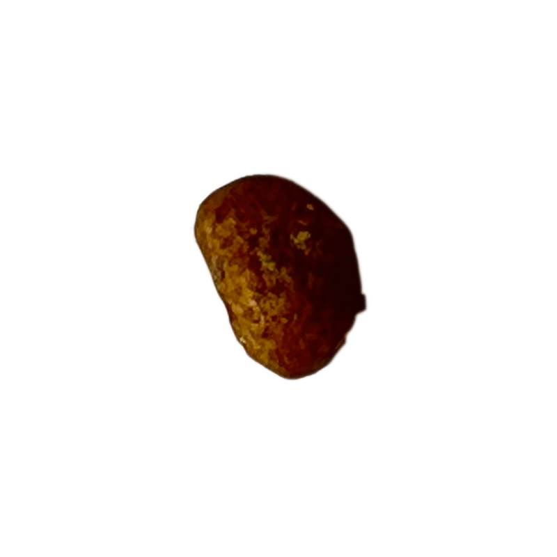 NatureBridge-Classic-Complete-Dog-Food---Beauty--Skin-ALS-Kibble.png