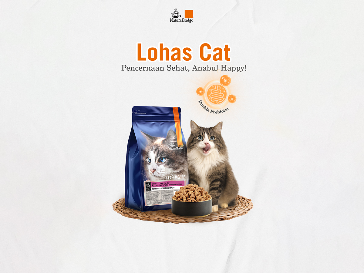 Pet Tips | Probiotics for Pets