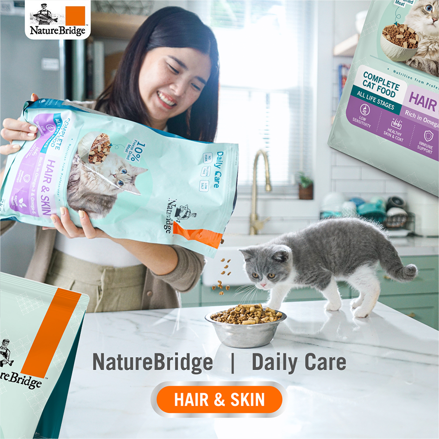 Pet Tips | The Basics of Skin & Coat Care for Dogs and Cats