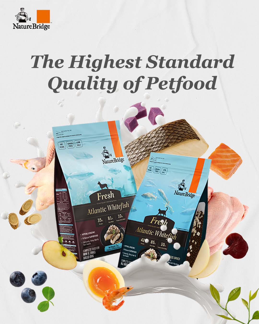 Pet Tips | The right protein for hypersensitive pets